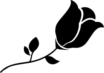 a black rose on a white background