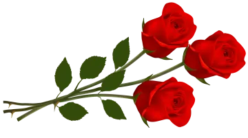 three red roses with green leaves