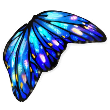 a blue and yellow butterfly wing