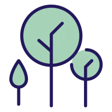 a green tree with two leaves