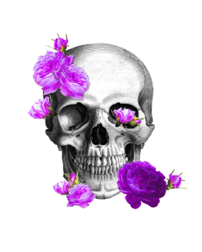 a skull with flowers in its mouth