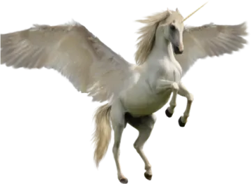 an image of a white unicorn with wings