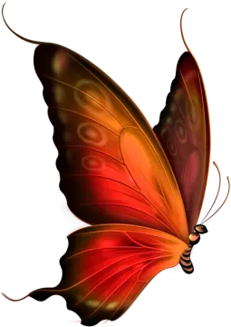 a red butterfly on a white background