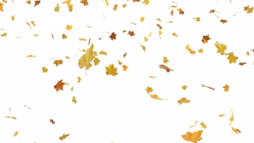 a white background with falling autumn leaves