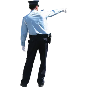 a police officer pointing at something