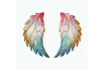 a pair of colorful feathers on white background