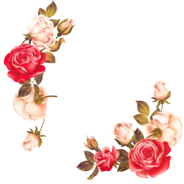a frame with roses on a white background
