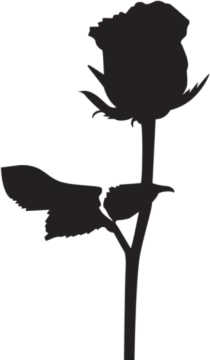 a black and white silhouette of a rose
