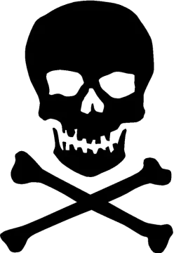 a skull and crossbone on a white background