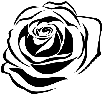 a black and white rose flower