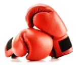 a pair of red boxing gloves