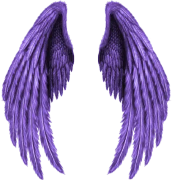 a pair of purple angel wings