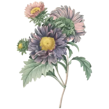 a watercolor painting of purple and yellow flowers