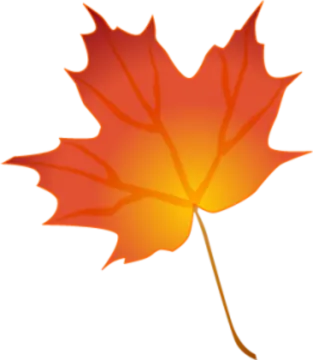 a red maple leaf