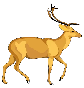 a deer with ants on its head