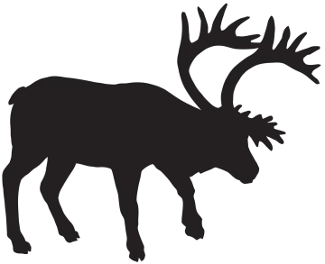 a moose silhouetted on a white background