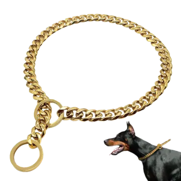 a black and brown dog wearing a gold chain