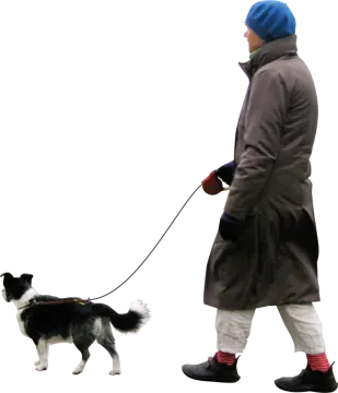 a person walking a dog on a leash