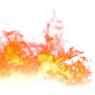 fire on a white background