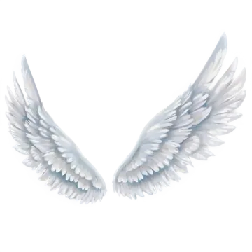 two white wings on a white background
