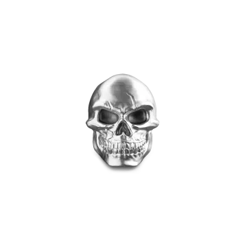 a silver skull on a white background