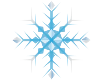 a snowflorer logo on a white background