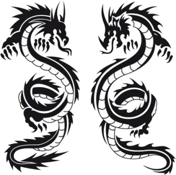 a pair of dragon tattoos