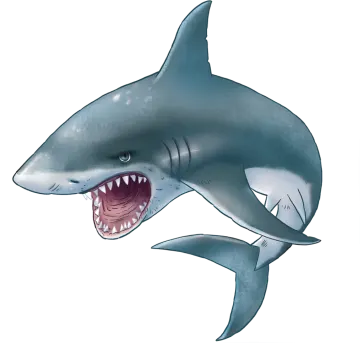 a drawing of a shark with its mouth open