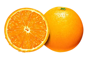 an orange cut in half on a white background