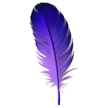 a purple feather on a white background