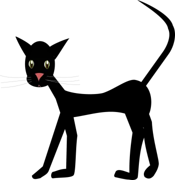 a black cat silhouetted on a white background