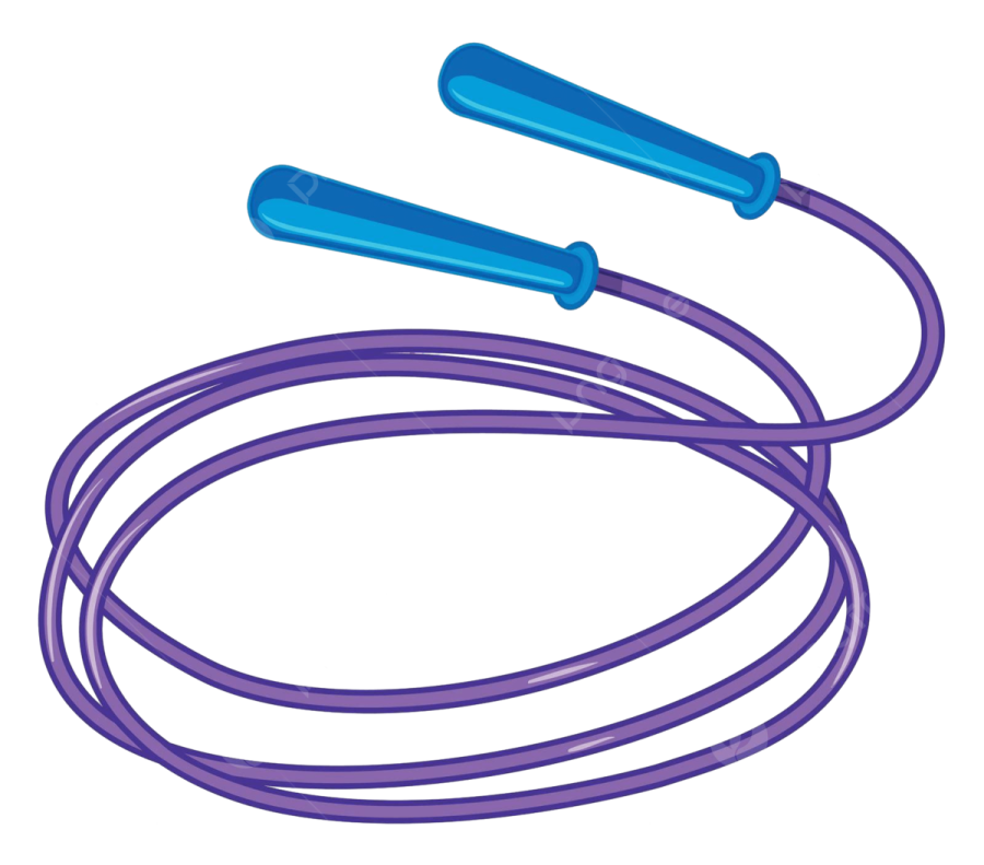 a purple skipping rope with two blue handles