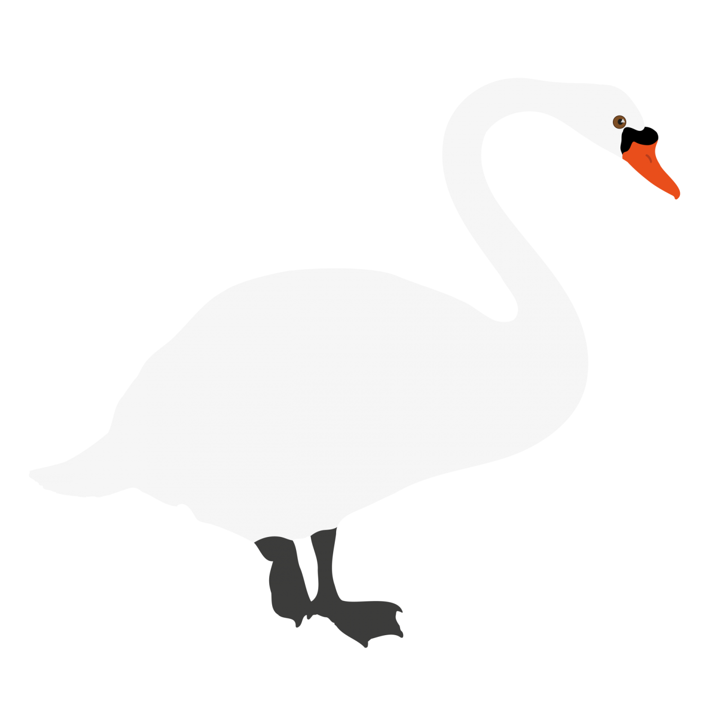 a silhouette of a white swan