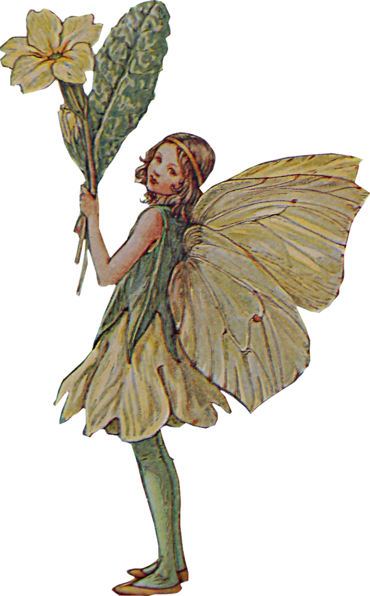 an illustration of a fairy holding a flower