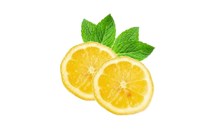 two slices of lemon and mint on a white background