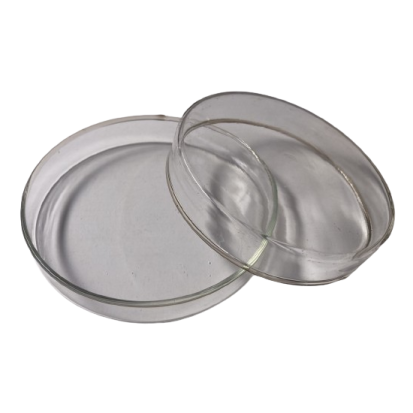 a pair of glass lids on a white background