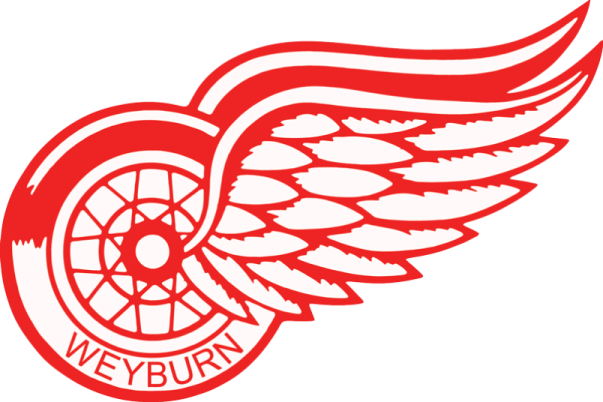 the detroit red wings logo