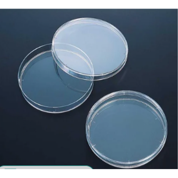a set of three clear plastic trays