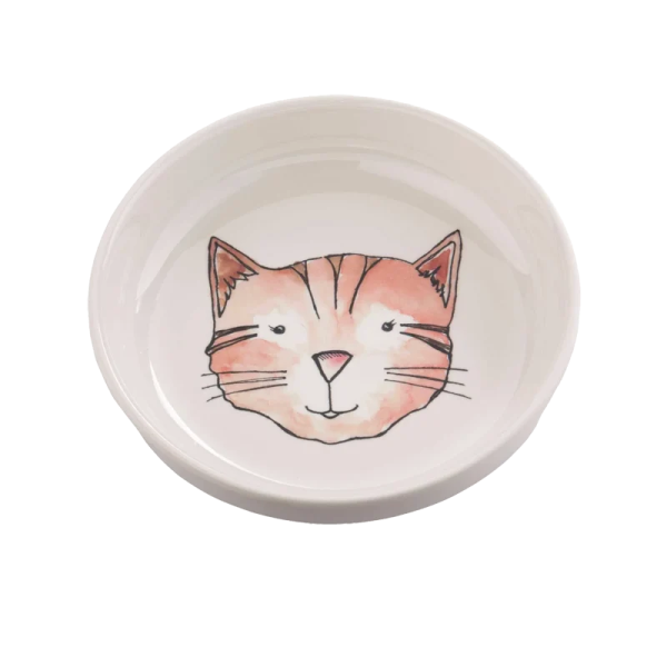 a white bowl with a cat face painted on it