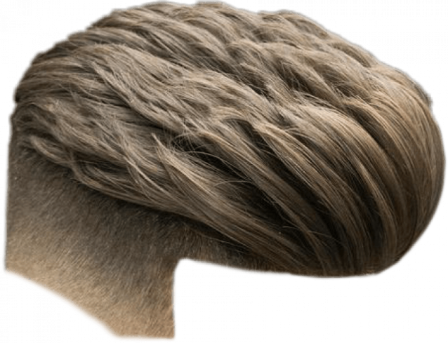 the back of a man's head with brown hair