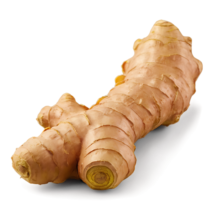 a close up of a ginger on a white background