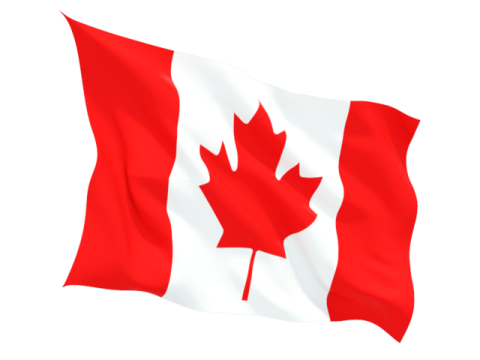 a canadian flag flying in the wind