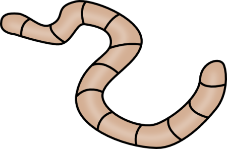 a brown worm on a white background
