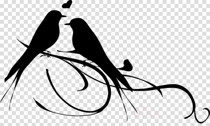 two birds sitting on a branch clipart