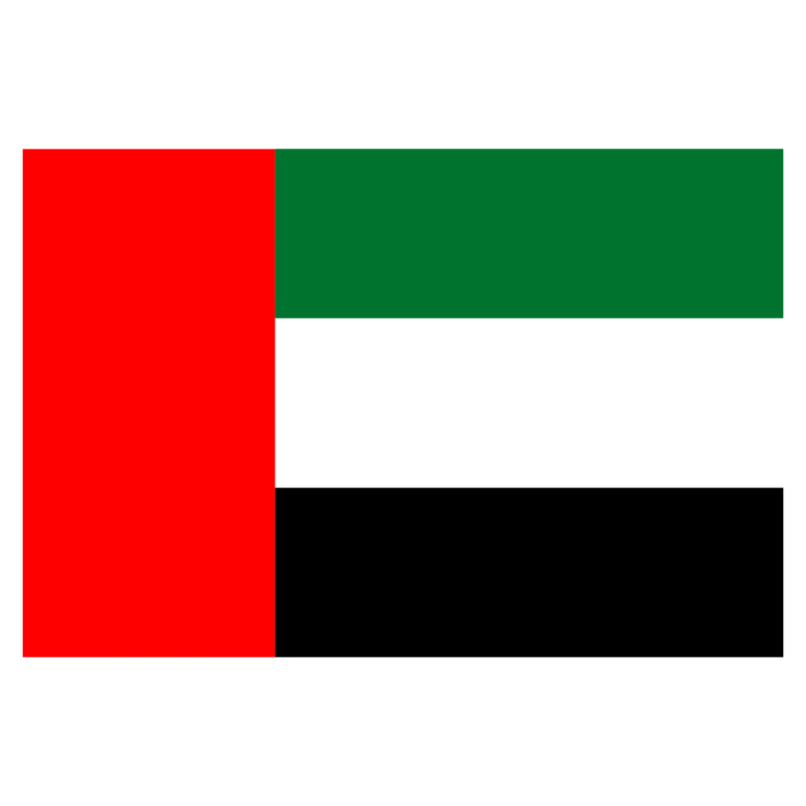 the uae flag