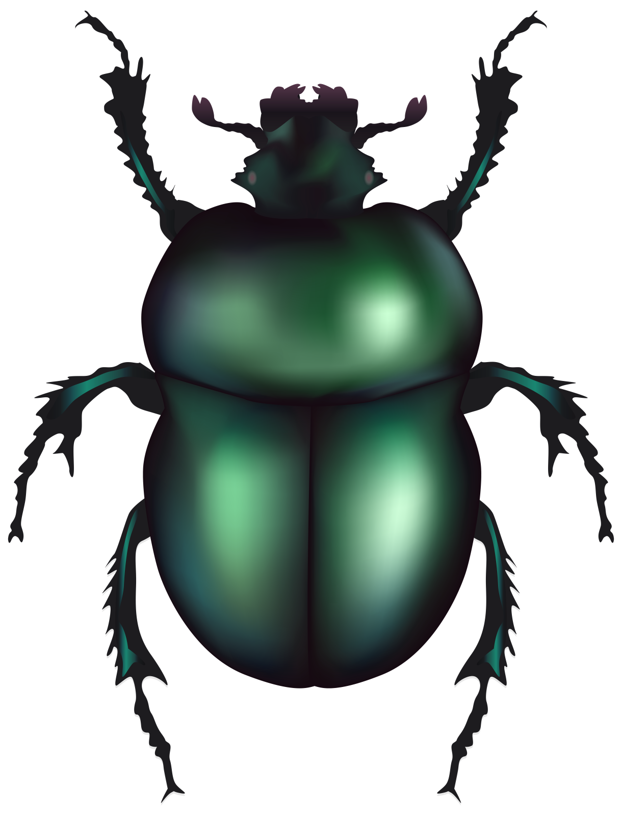 a green beetle on a white background
