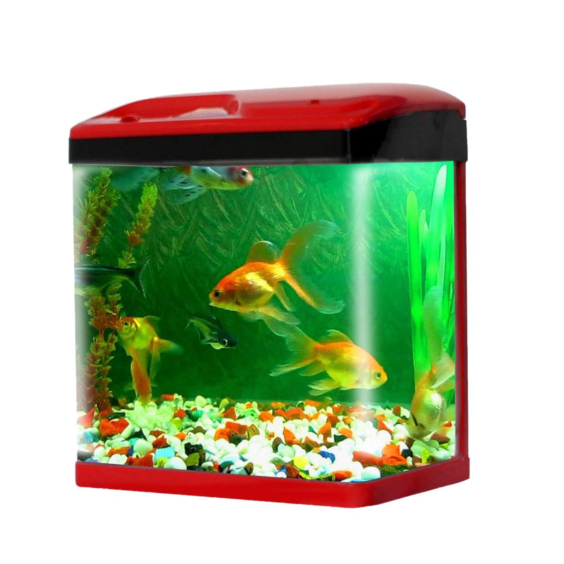 a fish tank filled with water and rocks