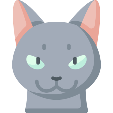 a gray cat with green eyes