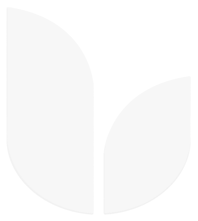 an image of a white leaf