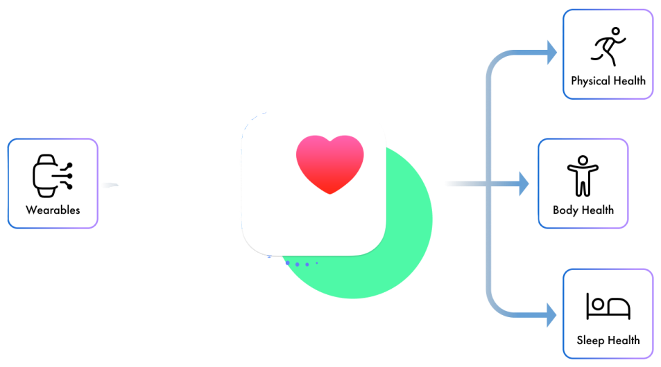 a diagram showing how the heart is connected to the body
